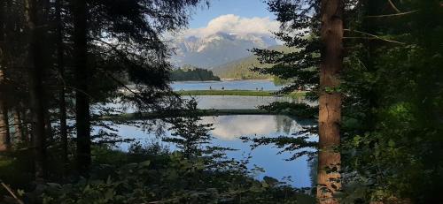 Calalzo di Cadore Apartment | Il tuo angolino sulle Dolomiti