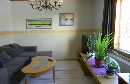 Kannonkoski Apartment | In the middle of the center of Kannonkoski. For a pet friend!