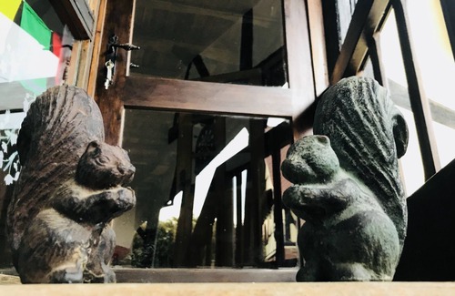 Schalkendorf Apartment | Independent gite 45 m2 in charming Alsatian farm with pool and orchard