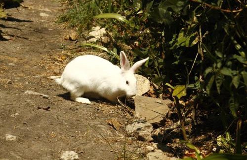 Machakos Other | Infinity Camp Grounds Maanzoni Backpackers