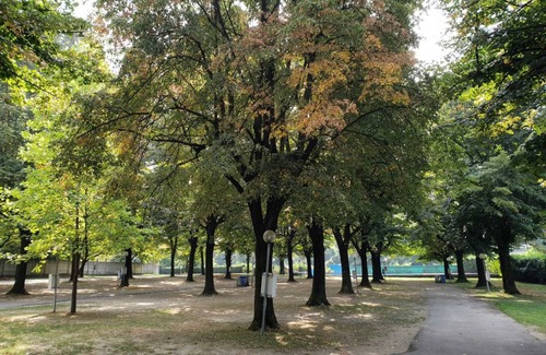 Albate RV Rental | International Camping No Stress