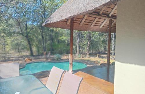 Phalaborwa Cabin | Iphupho Ba-Phalaborwa Estate Bush Lodge