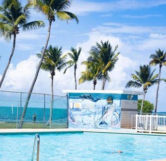 Fajardo Apartment | Isleta Marina- Paraíso Costero