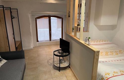 Issoire Apartment | ISSOIRE studio hyper centre