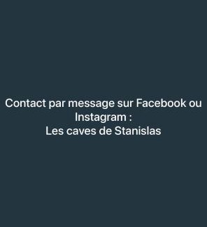 Saint Nicolas - Charles III - Ville vieille - Trois Maisons - Leopold Apartment | jaccuzi & spa des caves Stanislas