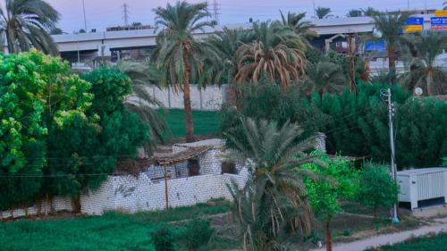 Luxor House | Jasmin house