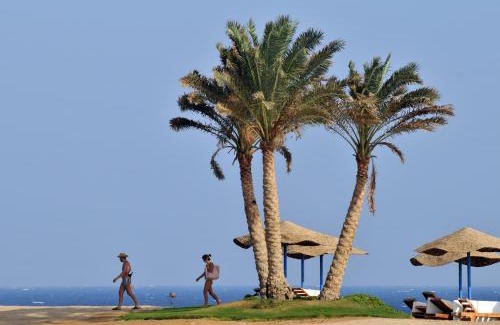 El Quseir Resort | JAZ Neo Reef Marsa