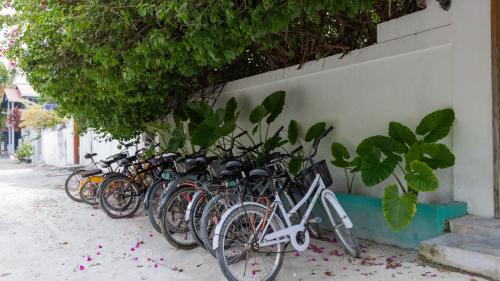 Thoddoo House | Jenyva Inn