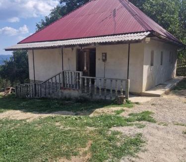 Ciuruleasa House | JODY VULCAn