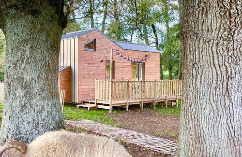 Cholet House | Jolie Tiny House sous les Grands Arbres