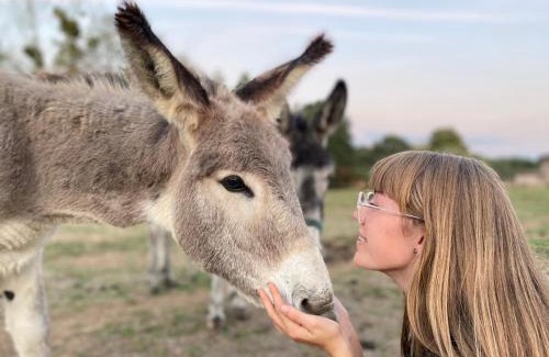 Cholet House | Jolie Tiny House sous les Grands Arbres