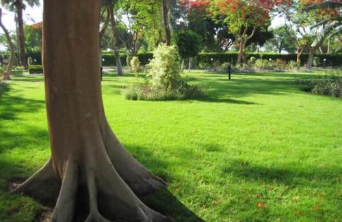 Nile River Luxor Resort | Jolie Ville Hotel & Spa Kings Island Luxor