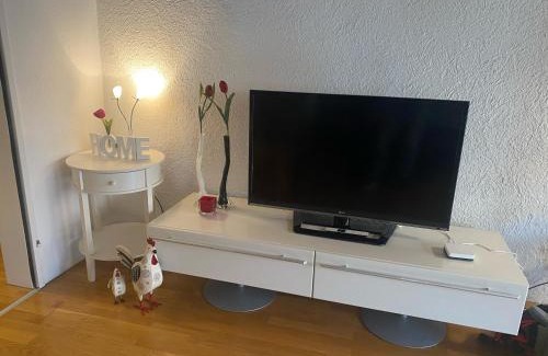 Nidau Apartment | Joline private guest apartement Studio 45m2