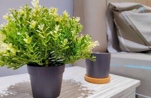 Taman Daya Villa | JPP l 角头间豪华私人KTV房120寸电视BBQ自动麻将机桌球PS4可以睡29个人5分钟Austin