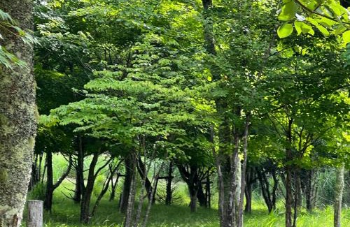 Yamanakako House | Juden Fuji168 山中湖湖畔 高級ログハウス 135平米四寝室