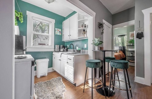 Seminole Heights Apartment | Jungle Themed Apt Close to Coffee Food and Shops!