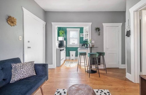 Seminole Heights Apartment | Jungle Themed Apt Close to Coffee Food and Shops!