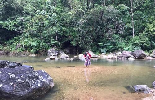 Medadumbara Bed & Breakfast | Jungle Tree House Rangala