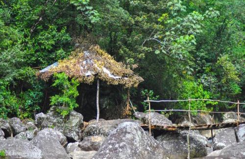 Medadumbara Bed & Breakfast | Jungle Tree House Rangala