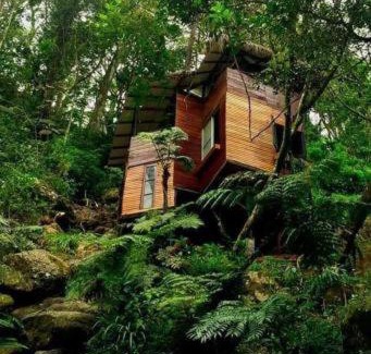 Medadumbara Bed & Breakfast | Jungle Tree House Rangala