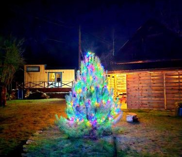 Kroczyce House | Jurajska Sielanka - domek nad rzeczką