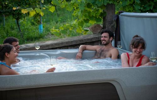 Kaptalantoti House | Káli Panoráma Birtok