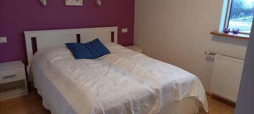 Reykholt House | Kópareykir Cottage