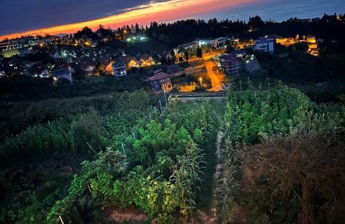 Trabzon House | Köşk de Müstakil bahçeli Konak