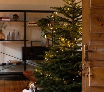 Kuldiga Apartment | K&L Old Town Kuldīga