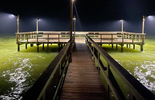 Sailhouse Condo | K's Coast Condo | Pet Friendly, Pool + Pier Access