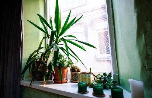 Pakruojis Apartment | Kabina