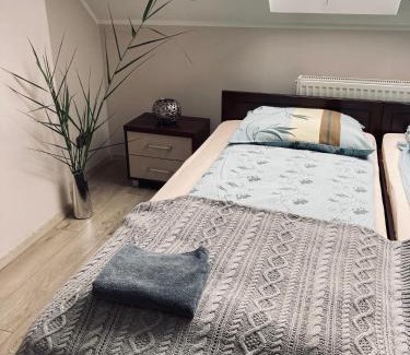 Zmigrod House | Kamienica pod Rakiem