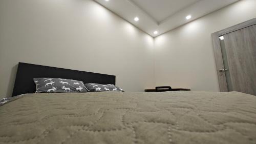 Vilnius city municipality Apartment | Kavoliuko 14