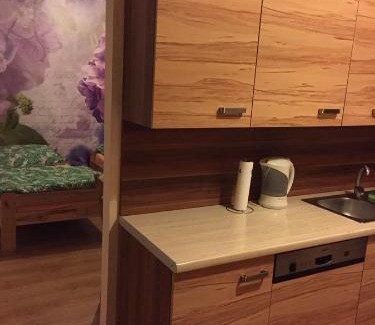 Poznan City Center Apartment | Kawalerka Fredry 3/13