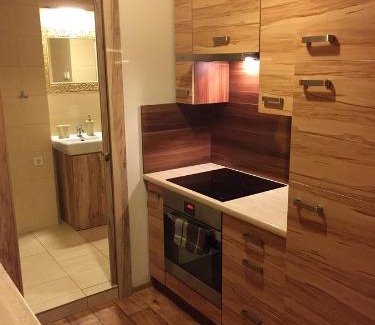 Poznan City Center Apartment | Kawalerka Fredry 3/13