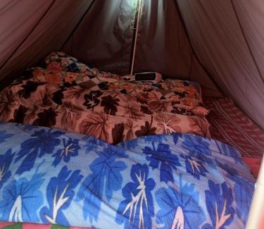 Kedarnath Other | Kedar valley camping