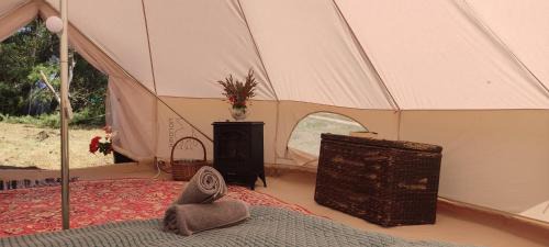 Saraiki Other | KEMPINGS Kareļi