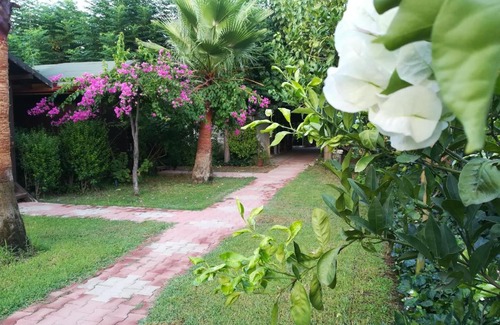 Cirali House | Kervan Pansiyon