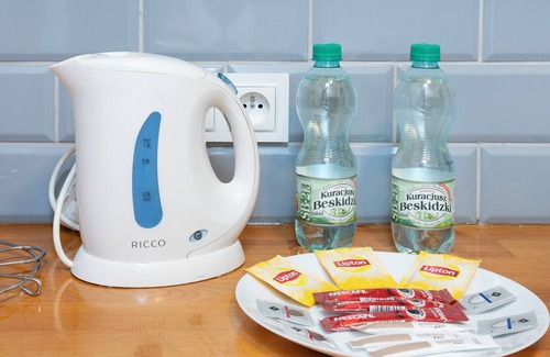 Srodmiescie Apartment | Kilińskiego Sunny Roof Loft Apartment