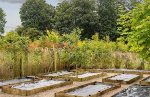 Killenard Apartment | Killenard Kottage, Killenard, Laois