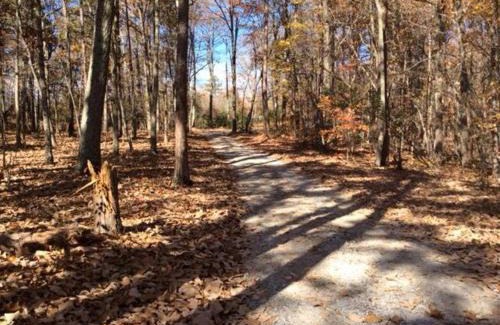 Kings Mountain House | Kings Mountain Retreat 4BR Family Home Mountain View Game Room Fireplace