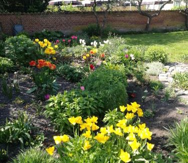 Ærø Municipality Bed & Breakfast | Kjobing Manor