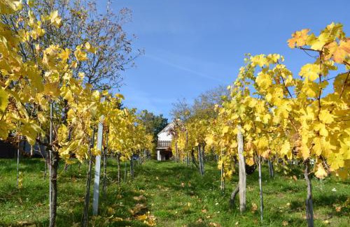 Rechnitz Apartment | Kleines Kellerstöckl Nimm 2