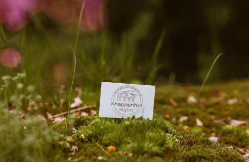 Rappottenstein Apartment | Knappenhof