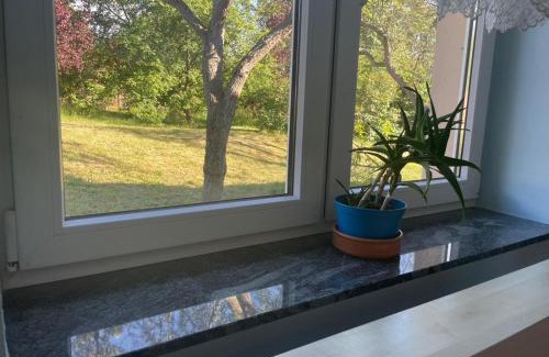 Stepnica House | Kopice " Kowalczyk In Nature Parks Blue Velo"