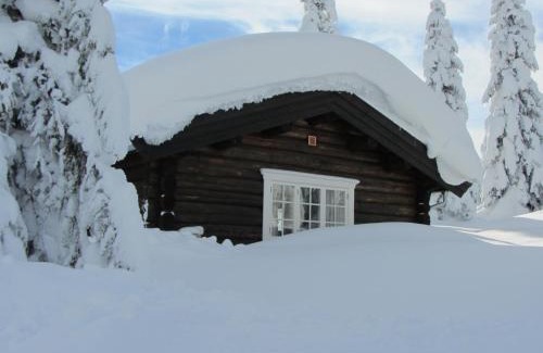 Svingvoll Cabin | Koselig familiehytte sentralt på Skeikampen til leie