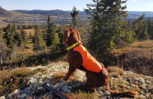 Svingvoll Cabin | Koselig familiehytte sentralt på Skeikampen til leie