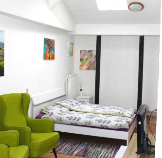 Trencin Apartment | Krásny priestranný slnečný apartmán v centre mesta