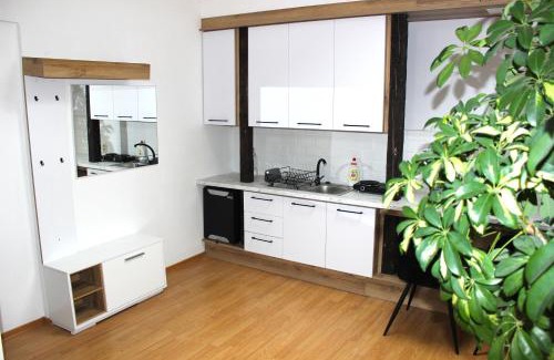Trencin Apartment | Krásny priestranný slnečný apartmán v centre mesta