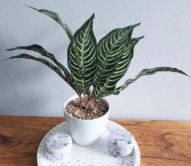 Krowodrza Apartment | Krakowska Awangarda - Close to the Old Town